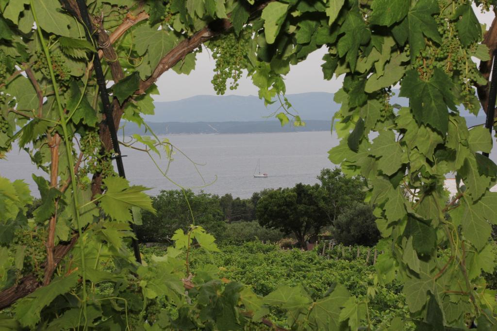 Holiday Home Vineyard House Bol Ruang foto
