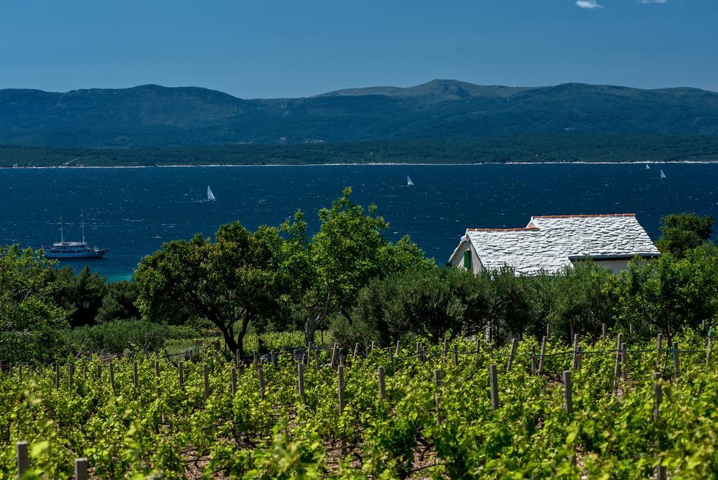 Holiday Home Vineyard House Bol Bagian luar foto